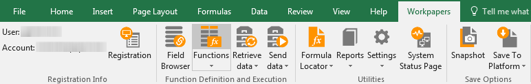 Screen capture showing the Functions button in the main ribbon.